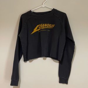 Off Black long sleeve Crop top